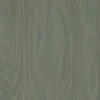 Formica F8911 Green Slate Birchply swatch