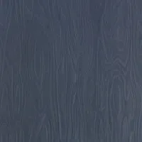Formica F9229 Dark Sky Birchply swatch