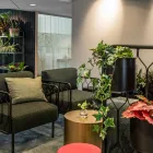 Kove stoler hos Plantagen fra Fora Form