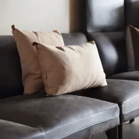 Senso sofa og Fora Form puter